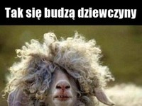 no i super :D