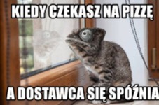 Kiedy czekasz na pizzę