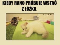 Taaa....