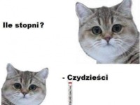 Ile stopni? :D