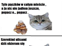 paczki