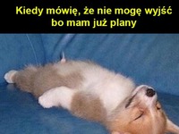 Bardzo zajęty