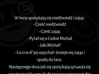 Zając śmiał się z niedźwiedzia, zobacz jaką zemstę wymyślił XD