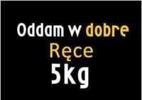 Oddam w dobre ręce 5 KG