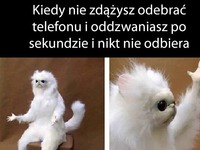 O co chodzi (3)