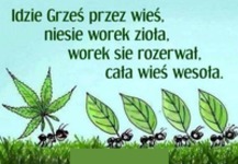 Idzie Grzes przez wieś