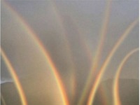 matka natura wypiła za dużo energetyków