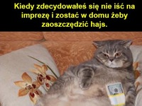 Oszczędność hajsu