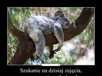 Szukanie zajęcia