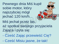 Zając miał super plan! Zobacz czy sie powiódł ;)