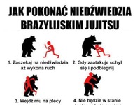 Działa czy nie?