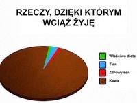 rzeczy, dzięki którym żyję