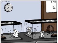 Eksperymenty na myszkach