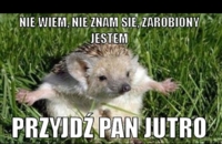 Przyjdź Pan jutro! :P