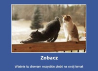 Zobacz