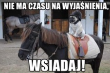 jedziemy!
