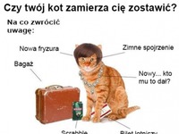 Trudny związek z kotem