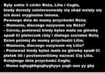 Matka miąła trzy córki Różę, Lilię i Cegłę. Pewne dnia spytały się dlaczego mają takie imiona.. Dlaczego cegła? :D