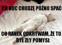 Siedzę po nocach