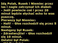 Idą Polak, Rusek i Niemiec przez las i nagle zatrzymał ich diabeł :D