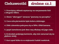 Kilka ciekawych FAKTÓW! Wiedziałeś to wszystko?