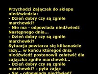 Zajączek w sklepie u niedźwiedzia ... Śmieszny :)