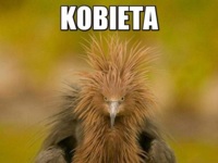 Kobieta...