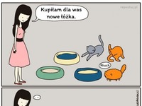 nowe łóżka