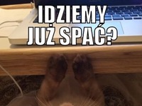 Oczka mi się kleją