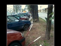 Mistrzowie parkowania