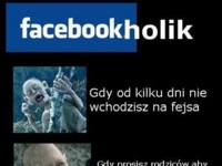 facebookholik