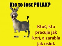 Kto to jest POLAK. Zgadzasz się?