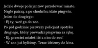 Kawał na dziś; Dwóch policjantów i pingwin- zobacz jak to się skończyło haha :D