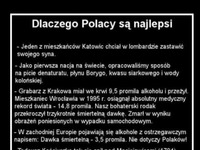 Polacy są najlepsi! :D
