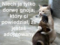 Dorwę ich!