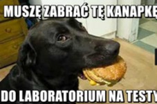 Do laboratorium