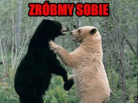 Zróbmy sobie pandę