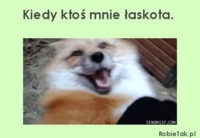 Łaskotki :D