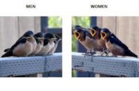 ROZMOWA mężczyźni vs kobiety