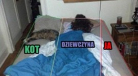 kot ma więcej :P