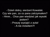 Kowalski został zatrzymany przez policję i ... odpowiada tak,że policjant nie wie co zrobić XD