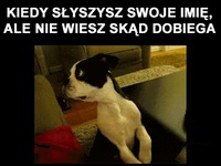 Moje imię