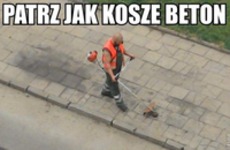 Kosze beton