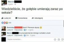 wiedzieliście, że gołębie umierają?