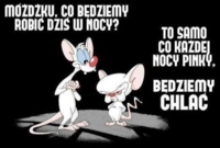 Co będziemy robic w nocy