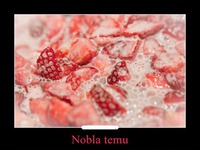 Nobla temu