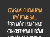 Czasami chciałbym być ptakiem