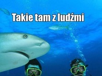 takie tam z ludzmi