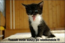 Suszy mnie!