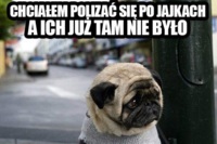 Chciałem polizać